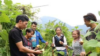 Bí thư Chi bộ người dân tộc Mông gương mẫu, năng động