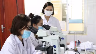 Lào Cai: Tăng cường đề phòng nguy cơ sốt rét xâm nhập