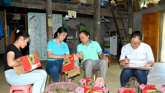 Lời giải hữu hiệu nào cho bài toán tinh giản biên chế?