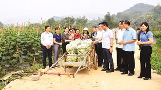 Nâng cao hiệu quả chính sách dân tộc từ hoạt động giám sát của nhân dân