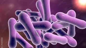 Biến chứng nguy hiểm nhất của bệnh bạch hầu là gì?