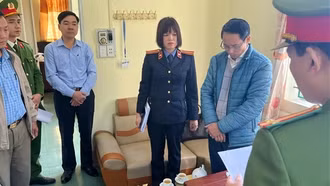 Chi tiền dịch vụ môi trường rừng sai mục đích, Chủ tịch UBND xã bị khởi tố