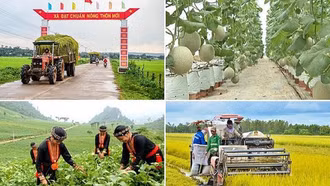 Quy định mới về cơ chế quản lý, tổ chức thực hiện các chương trình mục tiêu quốc gia