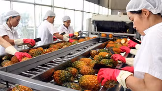 Hỗ trợ đầu tư cơ sở chế biến, bảo quản nông sản tới 15 tỷ đồng/dự án