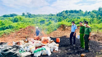 Tiêu hủy 3 lô hàng không rõ nguồn gốc xuất xứ