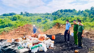 Tiêu hủy 3 lô hàng không rõ nguồn gốc xuất xứ