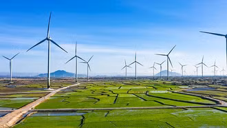 Việt Nam tích cực, chủ động triển khai bài bản các cam kết tại COP26