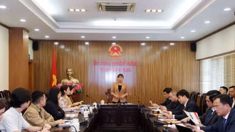 Phó Chủ tịch UBND tỉnh Giàng Thị Dung làm việc với Đoàn công tác của Tập đoàn KinderWorld Việt Nam 