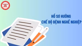 Hồ sơ hưởng chế độ bệnh nghề nghiệp bao gồm những gì?