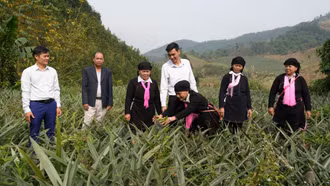 Nữ trưởng thôn người Dao ở Lào Cai giúp dân bản thoát nghèo