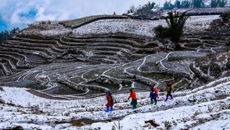 Đi tìm tuyết trắng