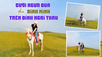 Cưỡi ngựa đua đón bình minh trên đỉnh Ngải Thầu