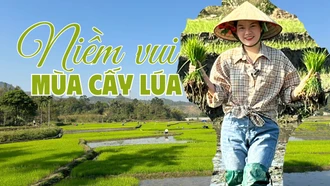 Niềm vui mùa cấy