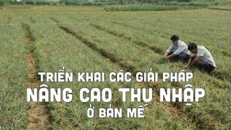 Triển khai các giải pháp nâng cao thu nhập ở Bản Mế