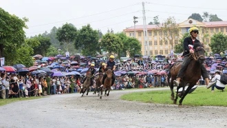 Festival Cao nguyên trắng Bắc Hà mùa hè năm 2023 sẽ diễn ra từ ngày 3 – 11/6