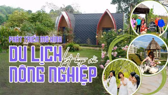 Phát triển mô hình du lịch kết hợp với nông nghiệp