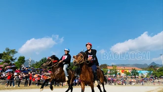 "Vó ngựa cao nguyên" sẵn sàng cuộc đua