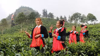 Những đôi tay thêu hoa trên áo