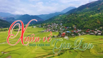 Xuân về dưới chân núi Gia Lan