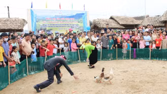 Khai hội “Sắc vàng bên dòng Nặm Luông"
