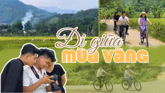 Đi giữa mùa vàng