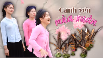 Cánh yến mùa xuân