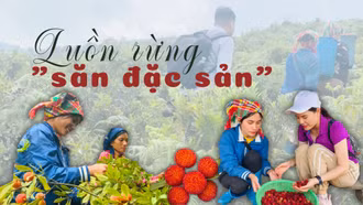 Luồn rừng "săn đặc sản"