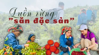 Luồn rừng "săn đặc sản"