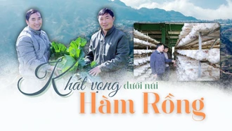 Khát vọng dưới núi Hàm Rồng