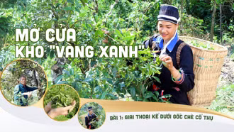 Bài 1: Giai thoại kể dưới gốc chè cổ thụ