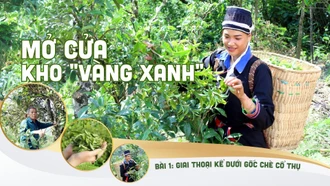 Bài 1: Giai thoại kể dưới gốc chè cổ thụ