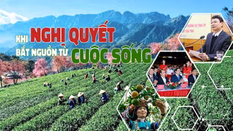 Khi nghị quyết bắt nguồn từ cuộc sống