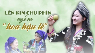 Lên Kin Chu Phìn ngắm “hoa hậu lê”