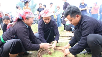 "Sắc vàng hương cốm” bên dòng Nậm Chăn