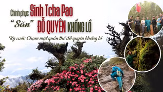 Kỳ cuối: Chạm mặt quần thể đỗ quyên khổng lồ