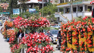 Ấn tượng Festival hoa hồng và Carnaval với chủ đề "Mộng mị Sa Pa"