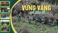 Vững vàng nơi biên ải