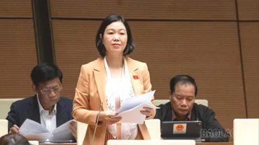 Cần hoàn thiện pháp luật, bảo đảm tính khả thi và nhân văn