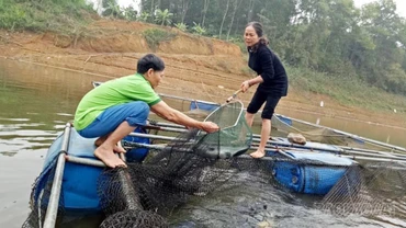 Thủy sản Lào Cai tăng trưởng ổn định, sản lượng vượt 28.000 tấn