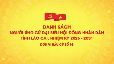Danh sách chính thức những người ứng cử đại biểu HĐND tỉnh Lào Cai, nhiệm kỳ 2026 - 2031 (đơn vị bầu cử số 8)