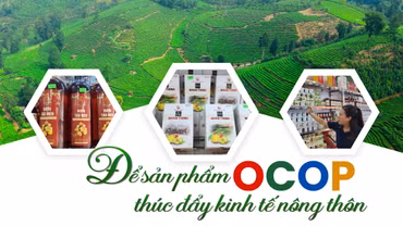Để sản phẩm OCOP thúc đẩy kinh tế nông thôn