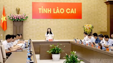 Chuẩn bị chu đáo công tác tuyên truyền, khánh tiết phục vụ Hội nghị Xúc tiến đầu tư tỉnh Lào Cai năm 2026