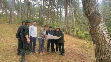 Người Mông giữ rừng