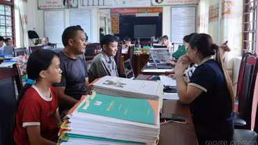 Chủ tịch UBND các tỉnh, thành phố chịu trách nhiệm trước Trung ương, Chính phủ và Thủ tướng Chính phủ về kết quả triển khai sắp xếp cơ sở giáo dục trên địa bàn