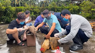 Gia Phú: Ứng dụng công nghệ số, nâng cao chăn nuôi an toàn sinh học và giám sát dịch bệnh