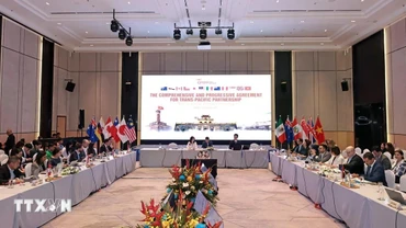 Khai mạc Phiên họp Quan chức cấp cao Hiệp định CPTPP lần thứ nhất năm 2026