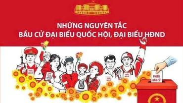Những nguyên tắc cơ bản trong bầu cử đại biểu Quốc hội và HĐND các cấp
