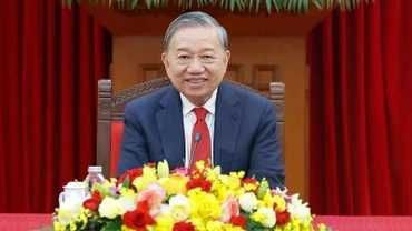 Tổng Bí thư Tô Lâm điện đàm với Bí thư thứ nhất, Chủ tịch Cuba Miguel Diaz-Canel