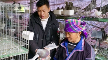 “Dân vận khéo” - “đòn bẩy” trong phát triển kinh tế, giảm nghèo ở Mù Cang Chải