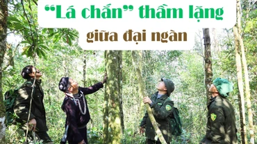 “Lá chắn” thầm lặng giữa đại ngàn